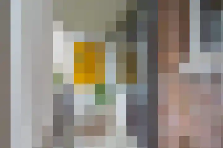 Rooseveltlaan 454 Utrecht thumbnail 18