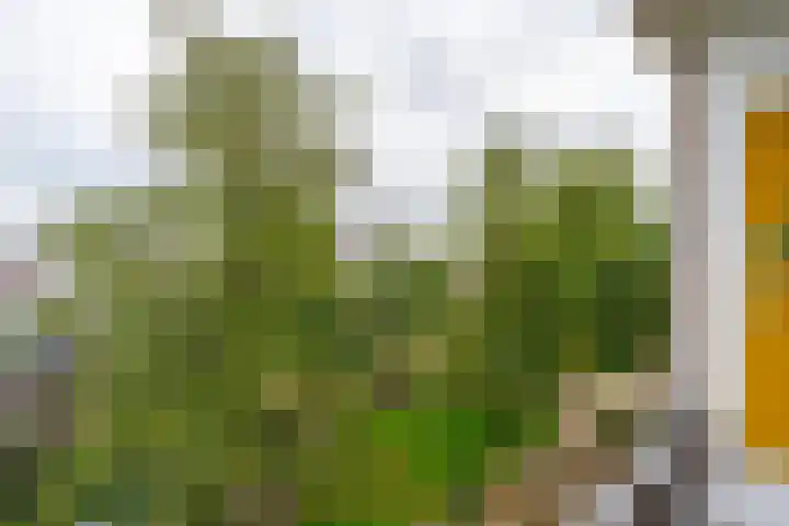 Rooseveltlaan 454 Utrecht thumbnail 19