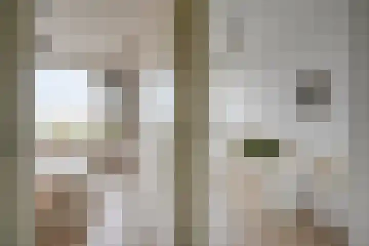 Rooseveltlaan 454 Utrecht thumbnail 21