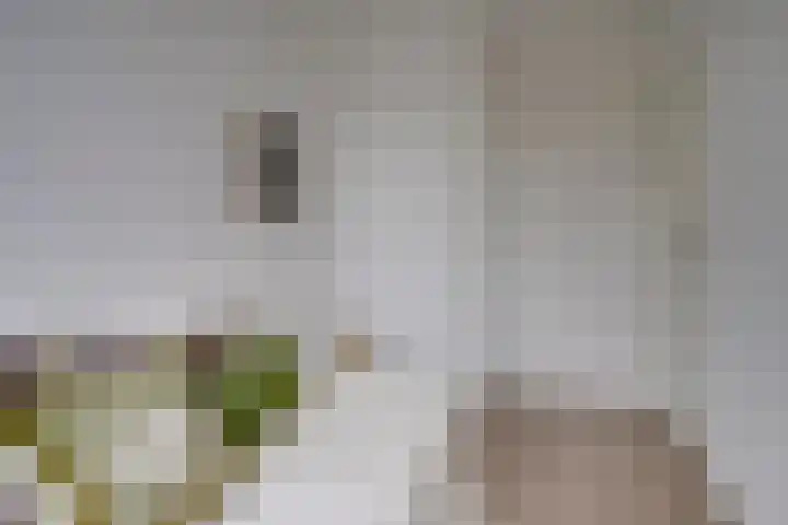 Rooseveltlaan 454 Utrecht thumbnail 25