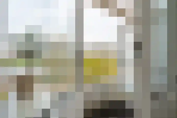 Rooseveltlaan 454 Utrecht thumbnail 26