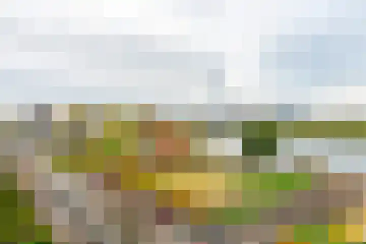 Rooseveltlaan 454 Utrecht thumbnail 27