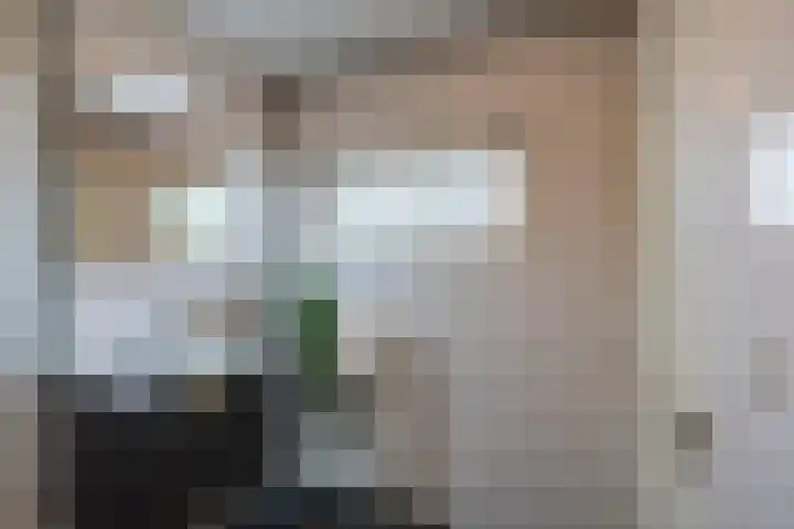 Rooseveltlaan 454 Utrecht thumbnail 29