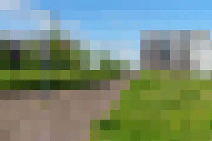 Rooseveltlaan 454 Utrecht thumbnail 32