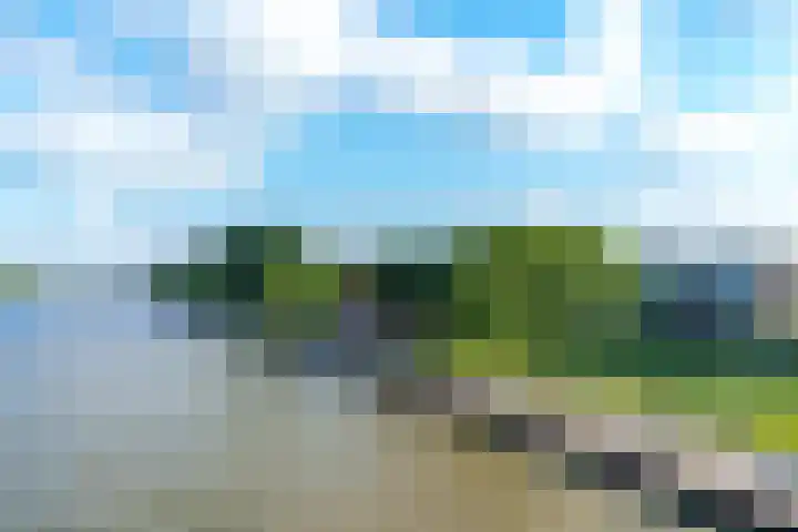 Rooseveltlaan 454 Utrecht thumbnail 34