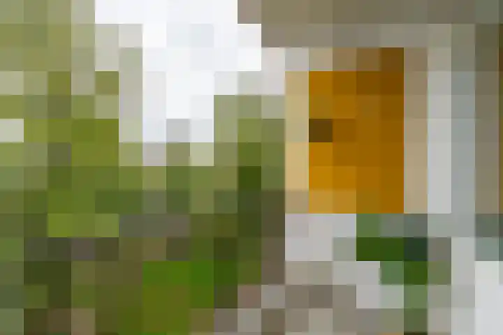Rooseveltlaan 454 Utrecht thumbnail 4