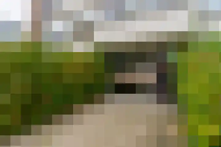 Rooseveltlaan 454 Utrecht thumbnail 5