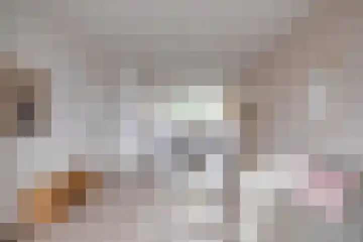 Rooseveltlaan 454 Utrecht thumbnail 9