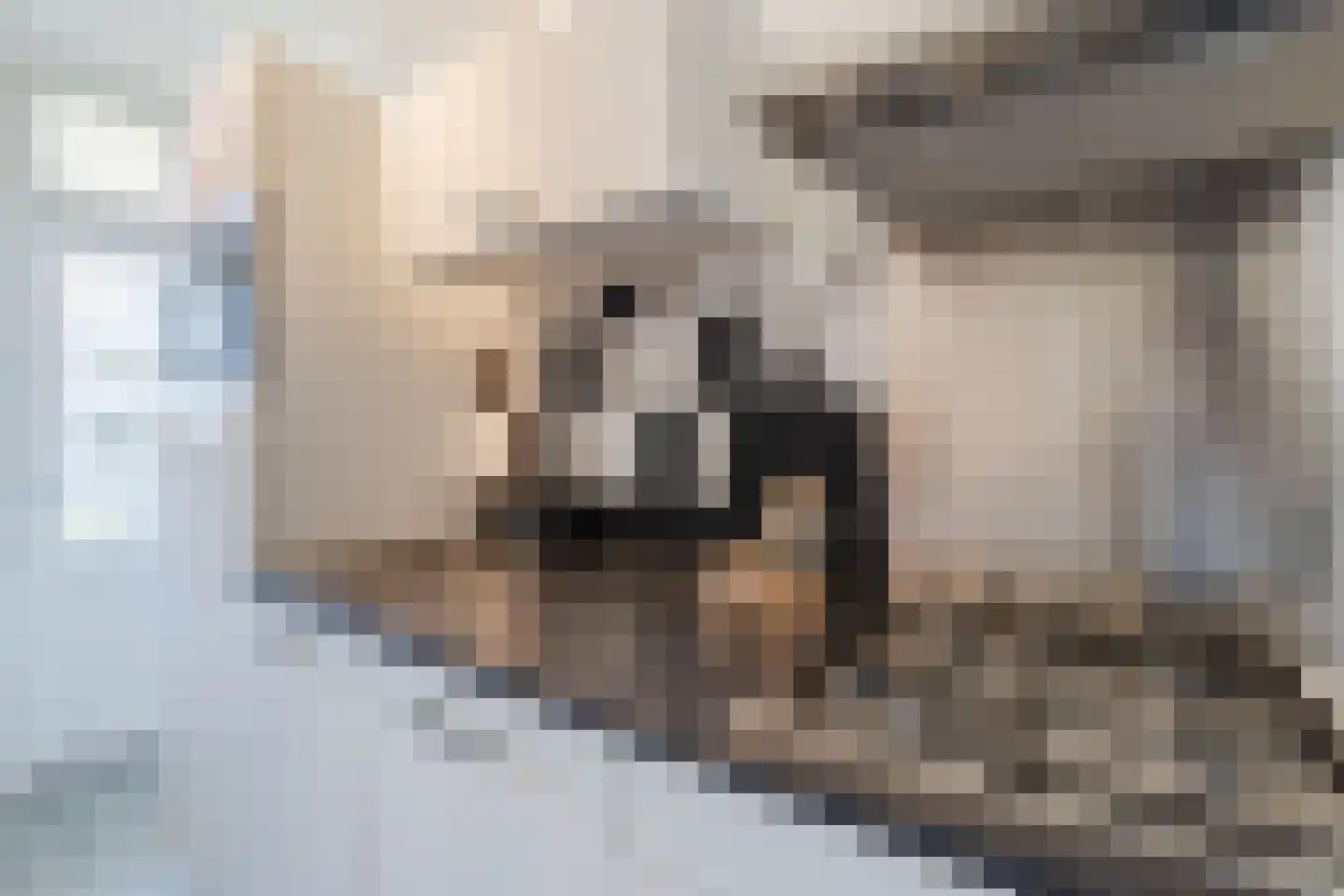 Rooseveltlaan 492 Utrecht thumbnail 17