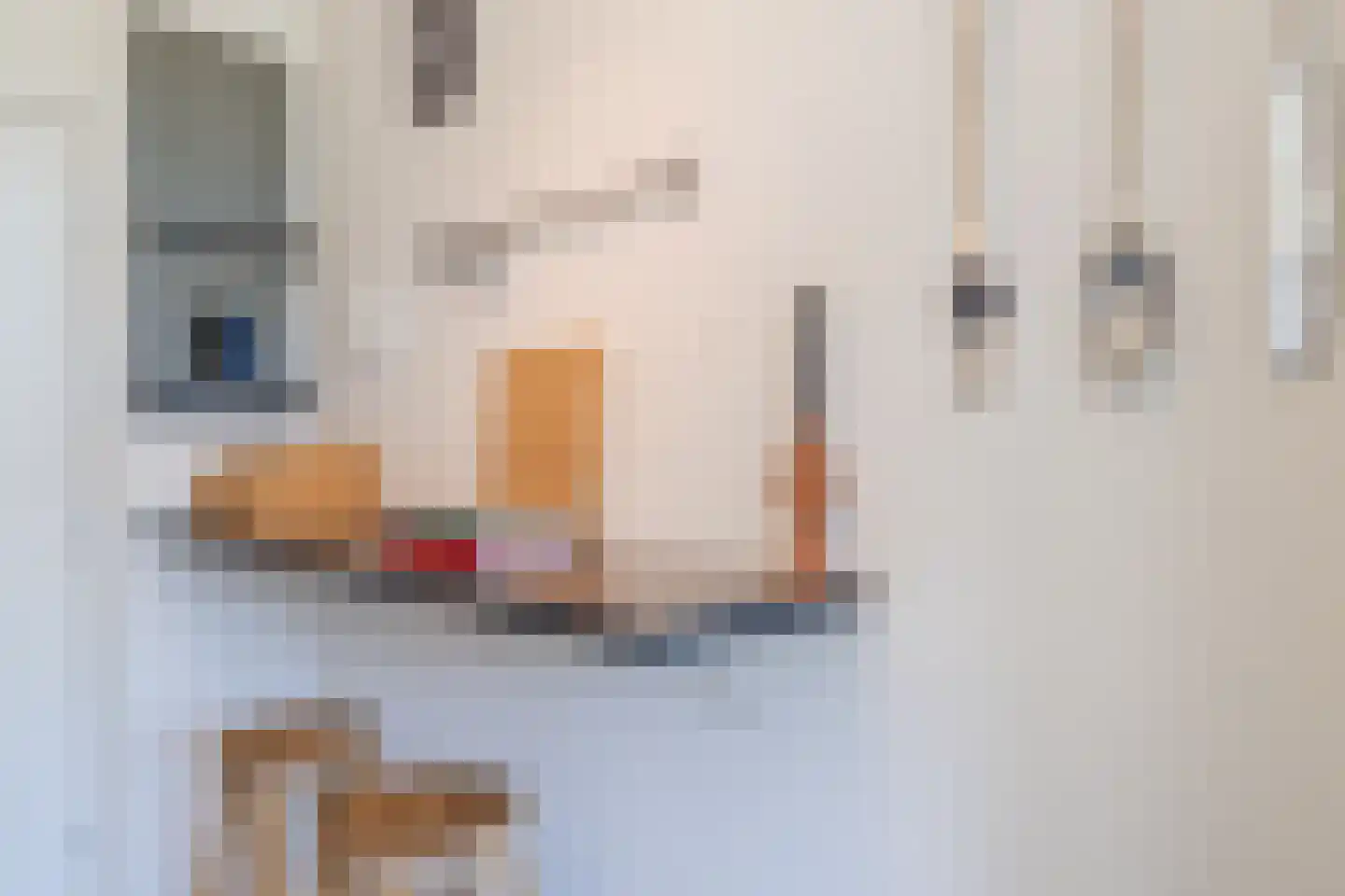Rooseveltlaan 492 Utrecht thumbnail 19