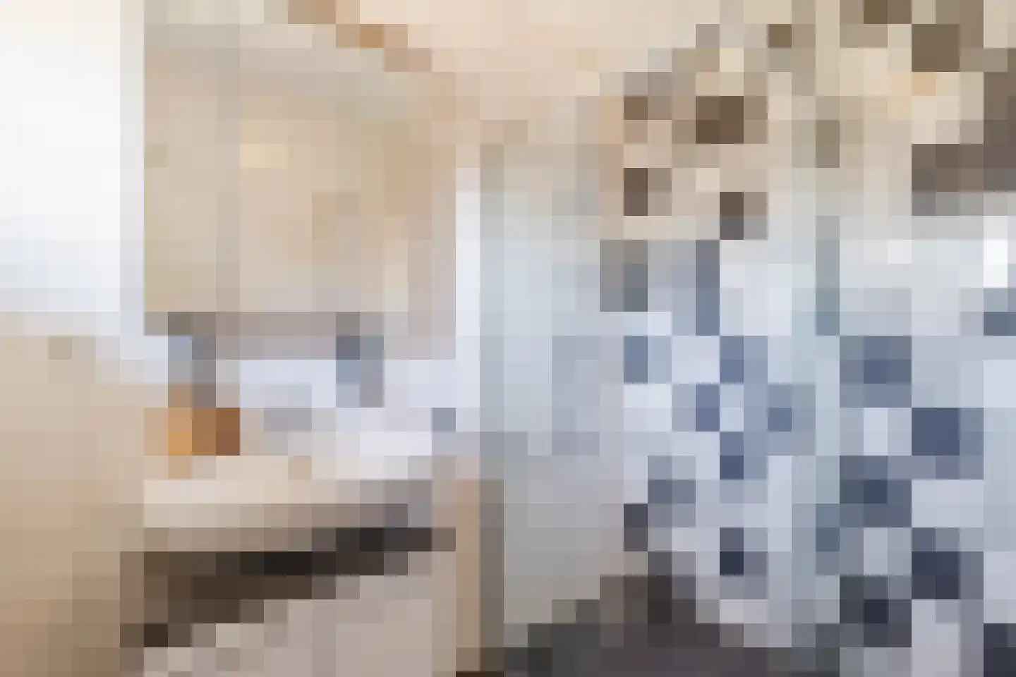 Rooseveltlaan 492 Utrecht thumbnail 30
