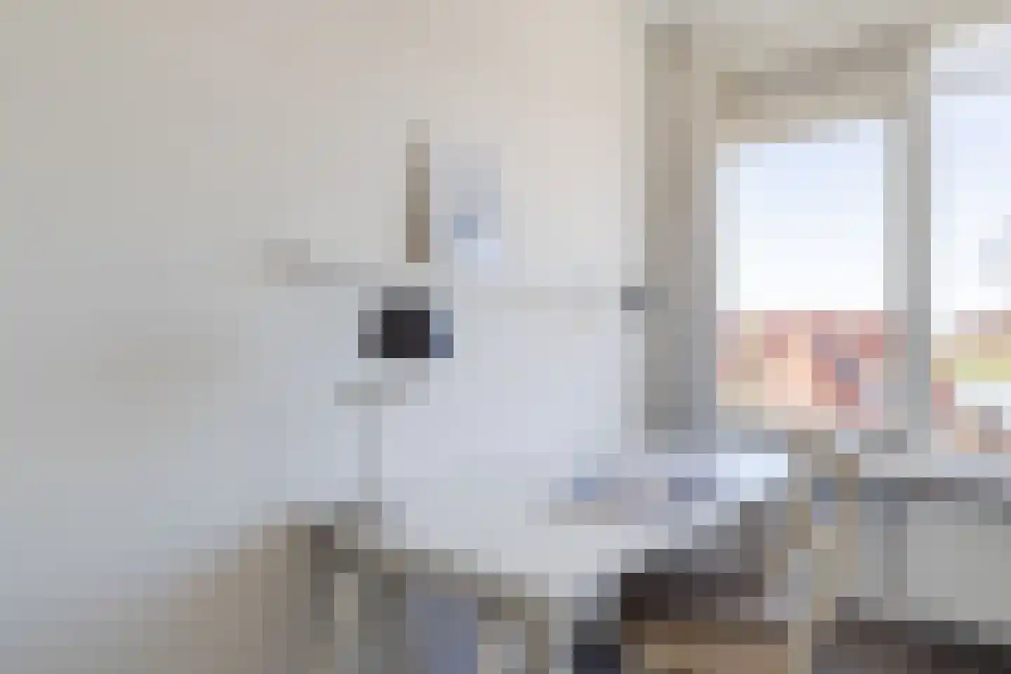 Rooseveltlaan 492 Utrecht thumbnail 39