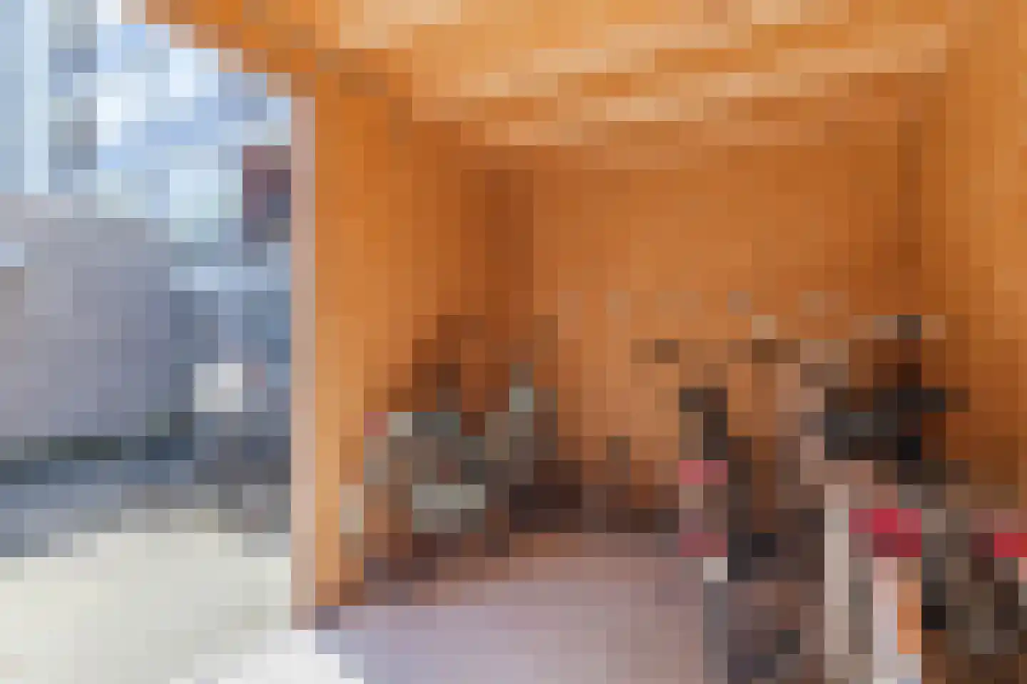 Rooseveltlaan 492 Utrecht thumbnail 47