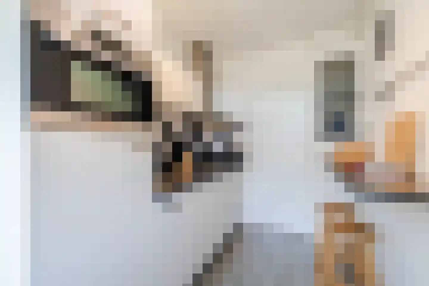 Rooseveltlaan 492 Utrecht thumbnail 5