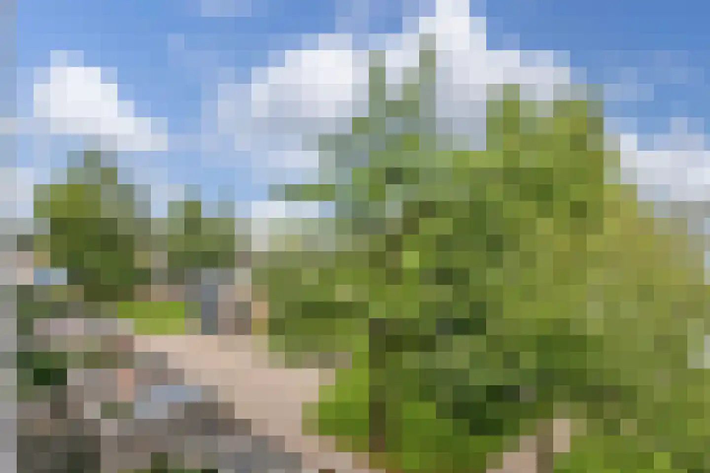 Rooseveltlaan 514 Utrecht thumbnail 13
