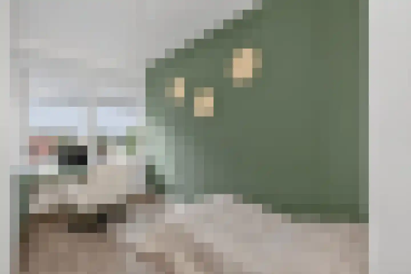 Rooseveltlaan 514 Utrecht thumbnail 15