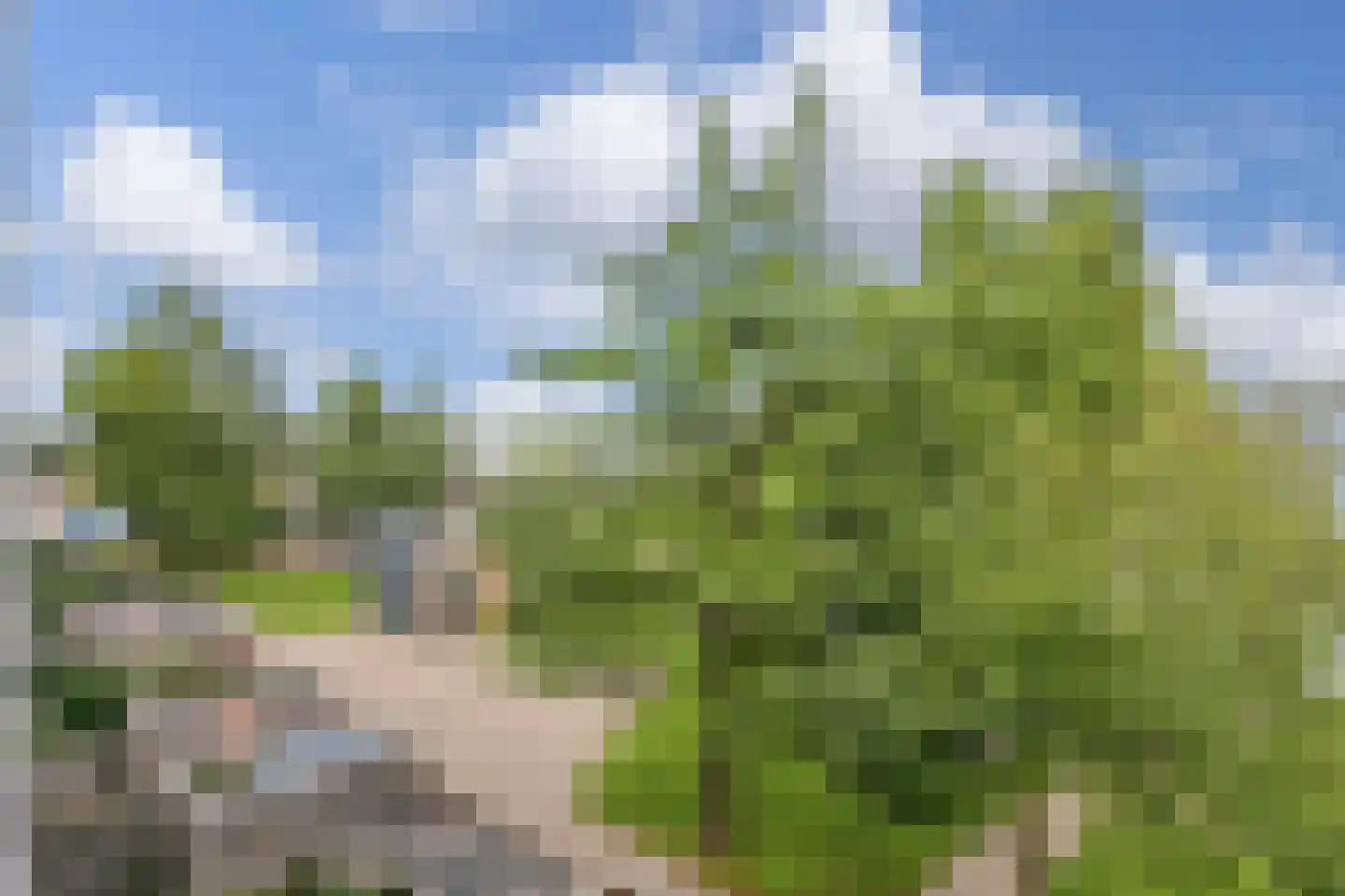 Rooseveltlaan 514 Utrecht thumbnail 40