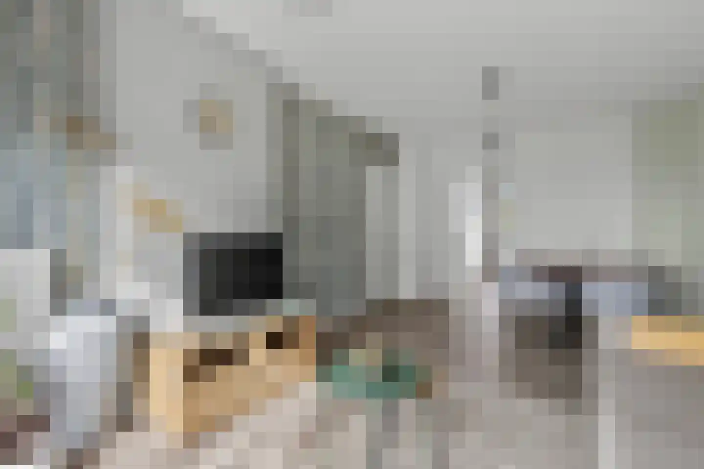 Rooseveltlaan 514 Utrecht thumbnail 7