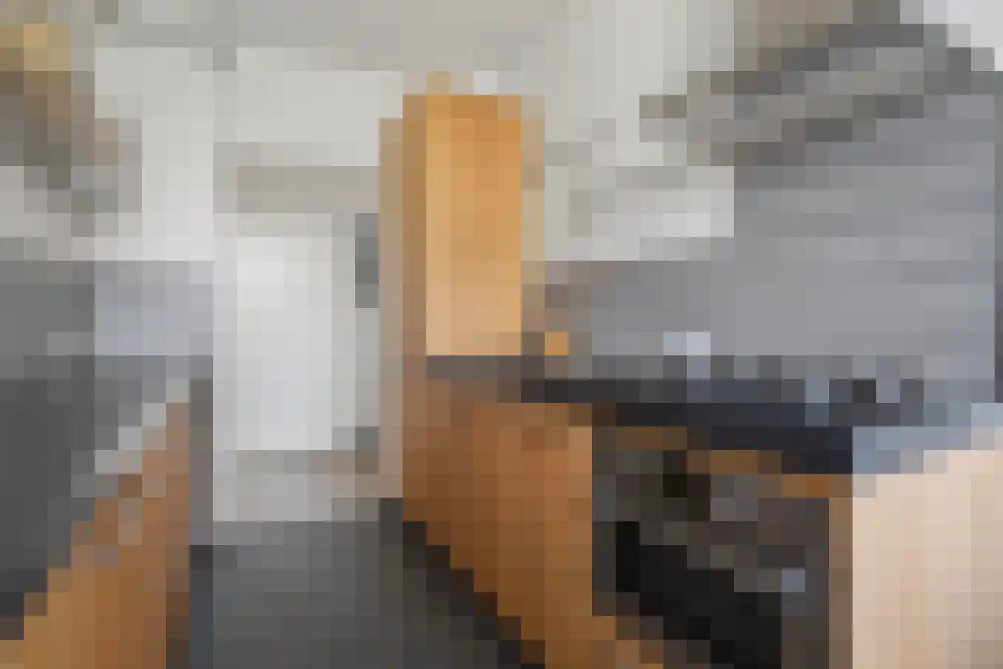 Rooseveltlaan 514 Utrecht thumbnail 9