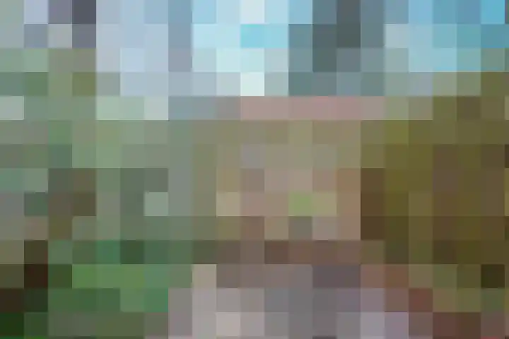 Rooseveltlaan 518 B Utrecht thumbnail 12