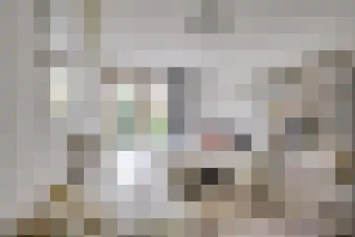 Rooseveltlaan 518 B Utrecht thumbnail 13