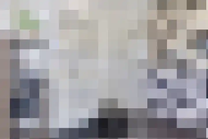 Rooseveltlaan 536 Utrecht thumbnail 13
