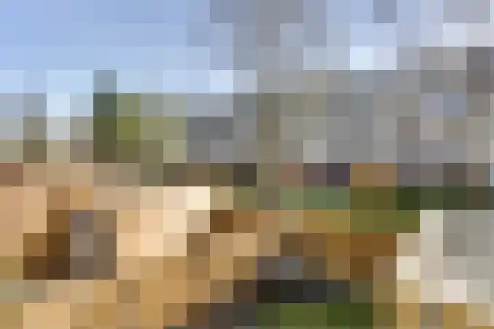 Rooseveltlaan 536 Utrecht thumbnail 17