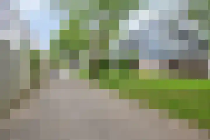 Rooseveltlaan 536 Utrecht thumbnail 18