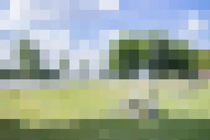 Rooseveltlaan 536 Utrecht thumbnail 21
