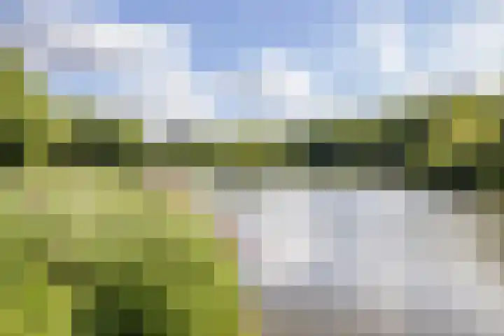 Rooseveltlaan 536 Utrecht thumbnail 23
