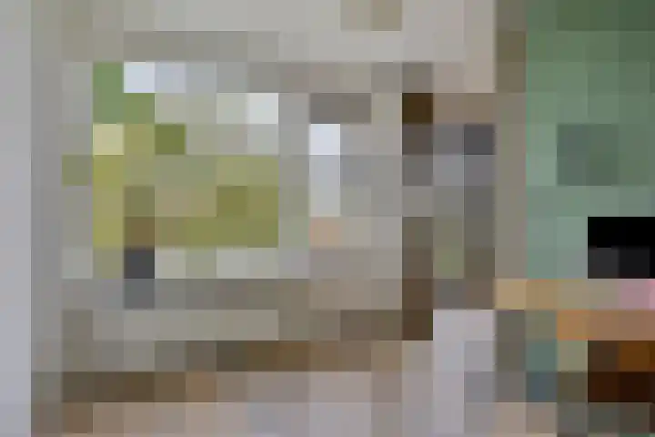 Rooseveltlaan 544 Utrecht thumbnail 13
