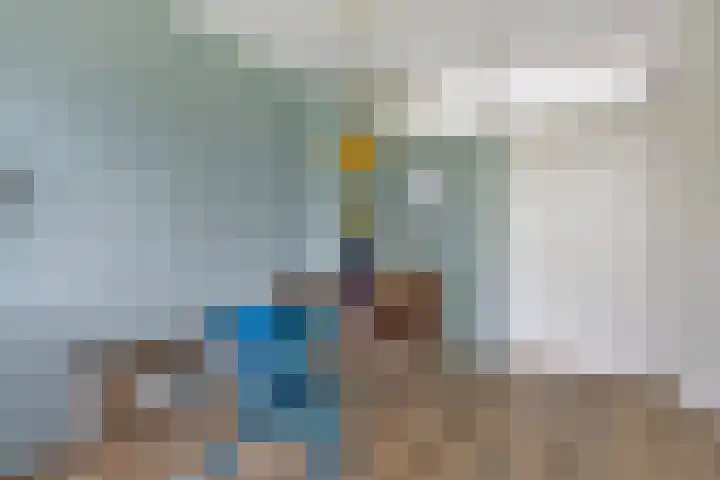 Rooseveltlaan 544 Utrecht thumbnail 17