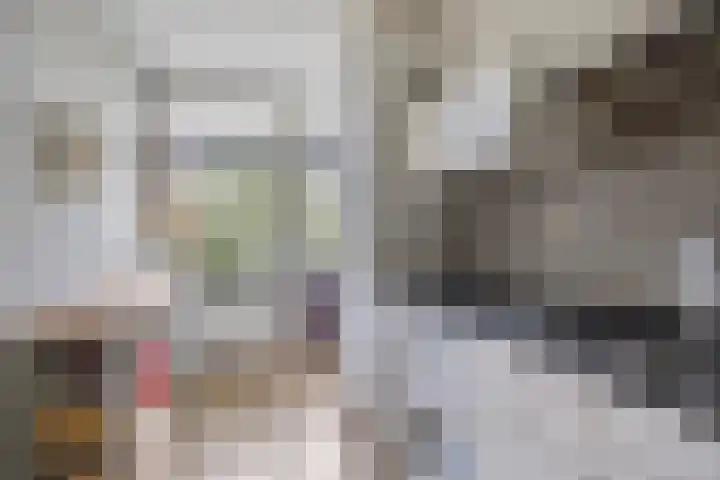 Rooseveltlaan 544 Utrecht thumbnail 18