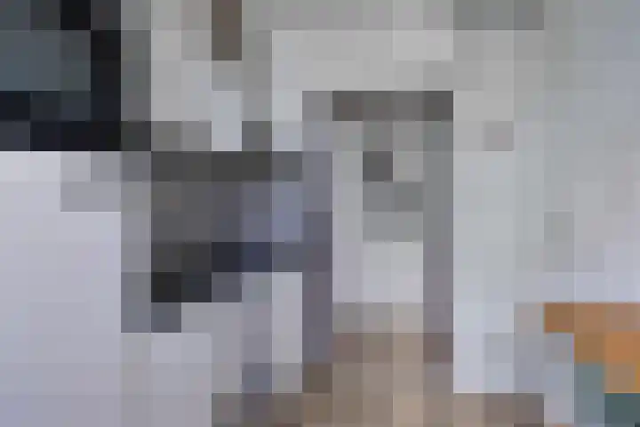 Rooseveltlaan 544 Utrecht thumbnail 19