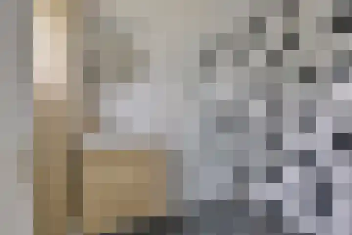 Rooseveltlaan 544 Utrecht thumbnail 22