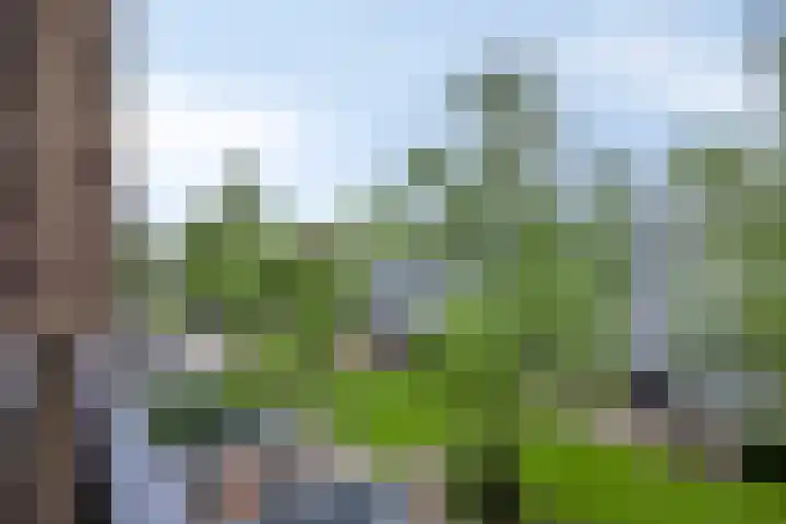Rooseveltlaan 544 Utrecht thumbnail 27