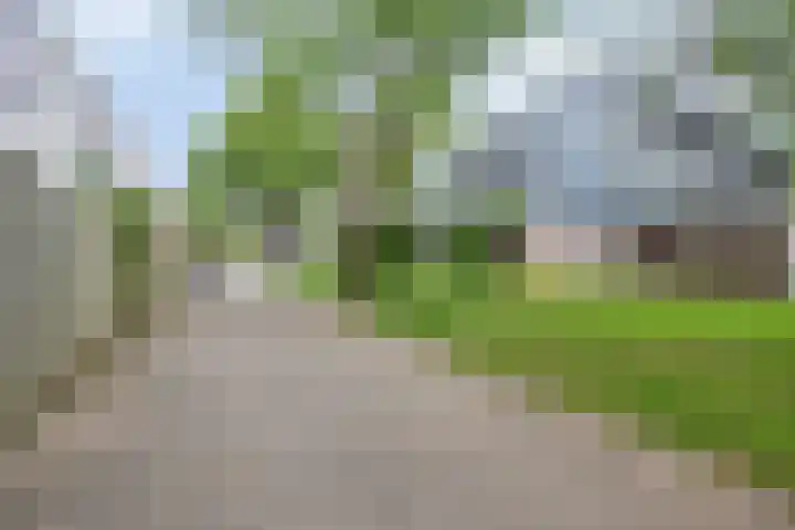 Rooseveltlaan 544 Utrecht thumbnail 29