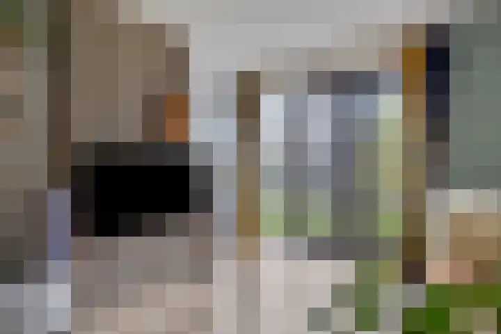 Rooseveltlaan 544 Utrecht thumbnail 8