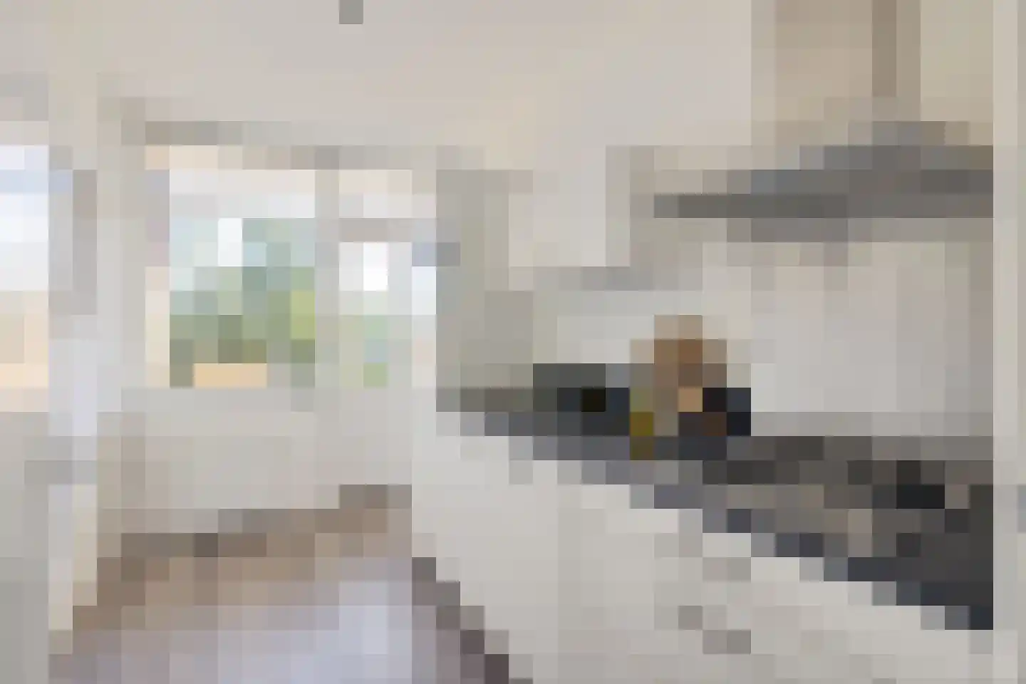 Rooseveltlaan 548 Utrecht thumbnail 10