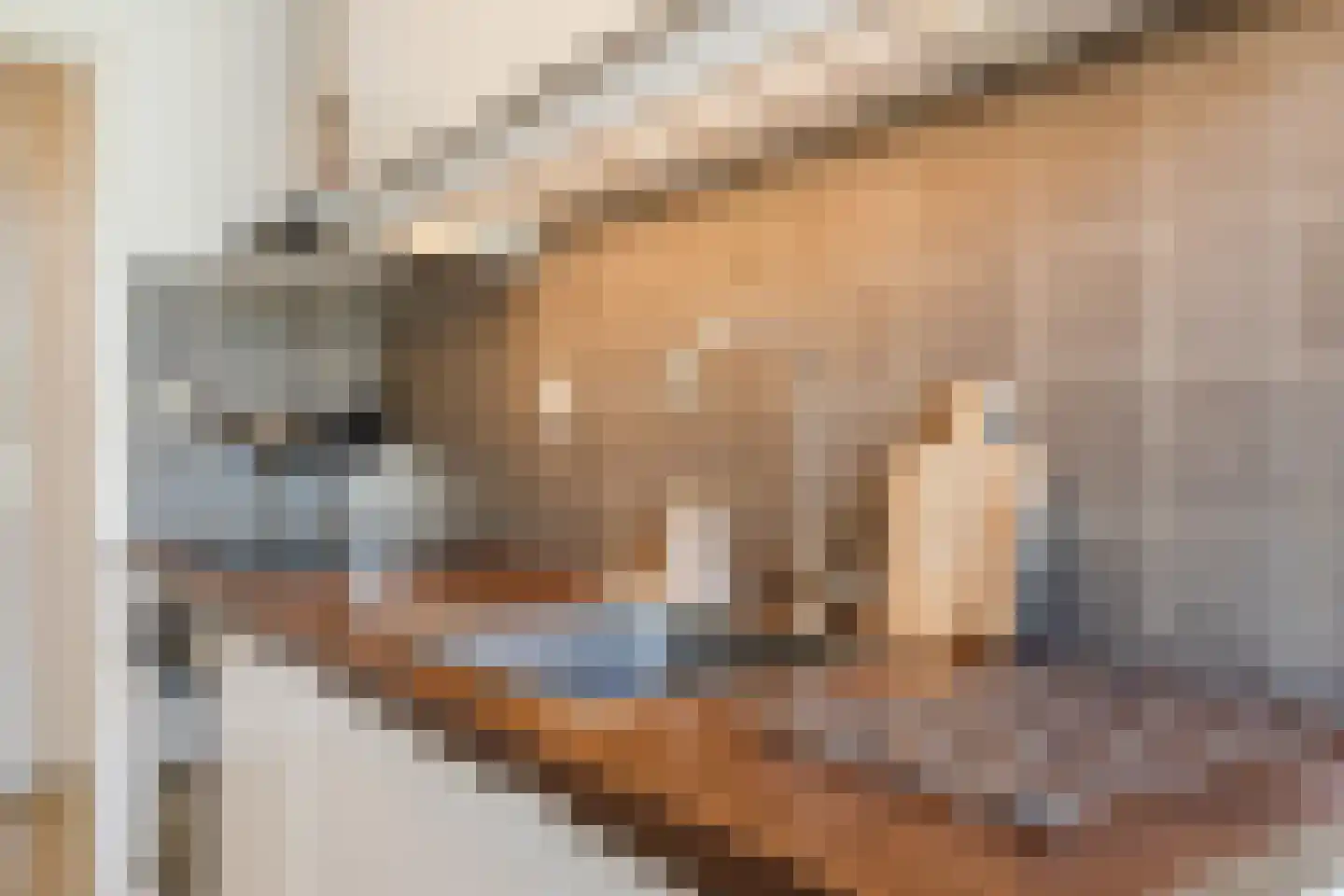 Rooseveltlaan 550 Utrecht thumbnail 17