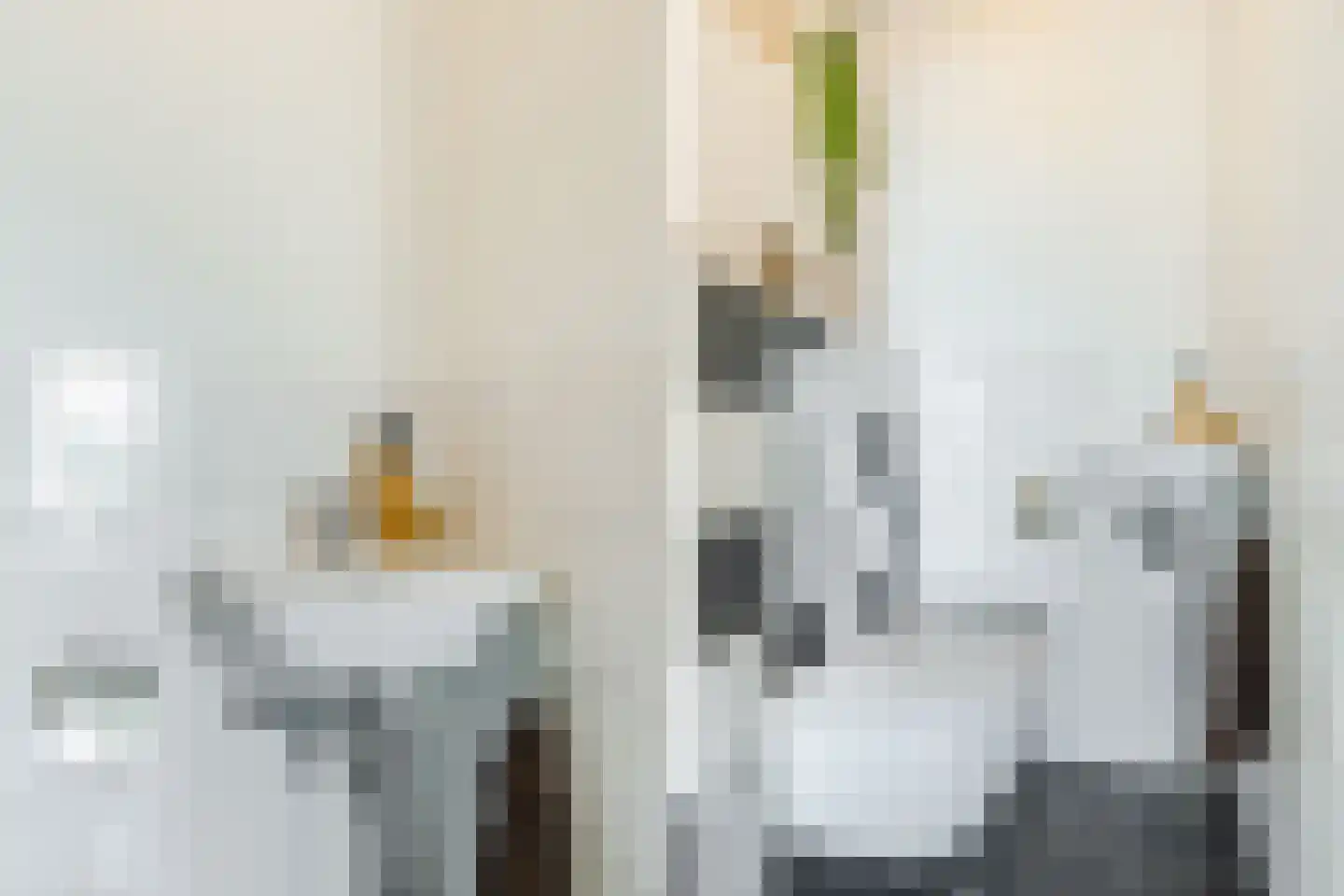 Rooseveltlaan 550 Utrecht thumbnail 30