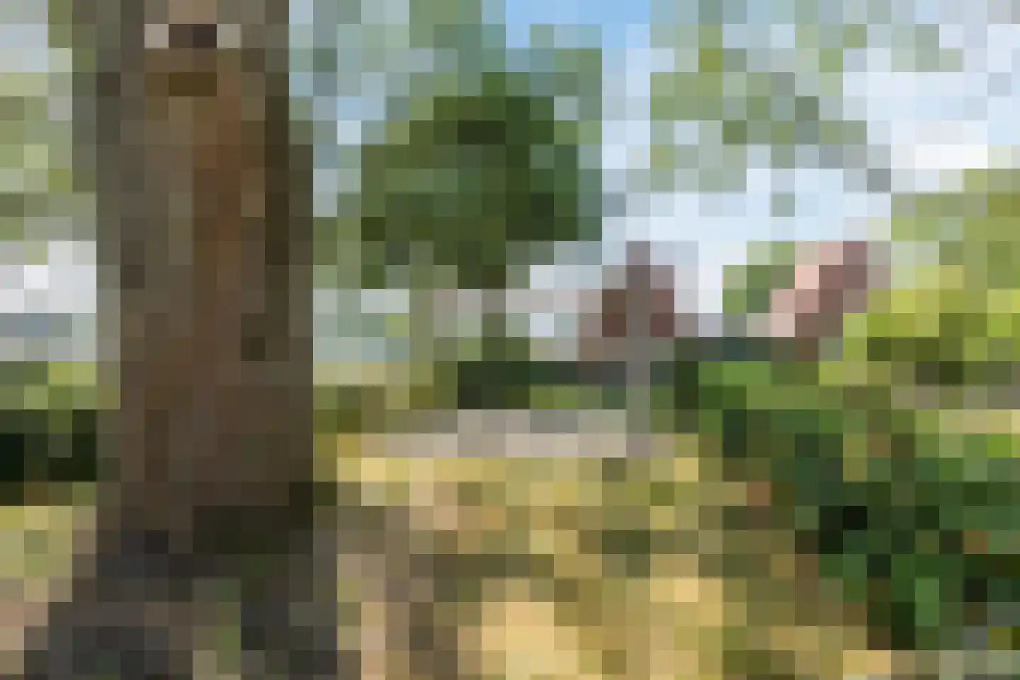 Rooseveltlaan 550 Utrecht thumbnail 56