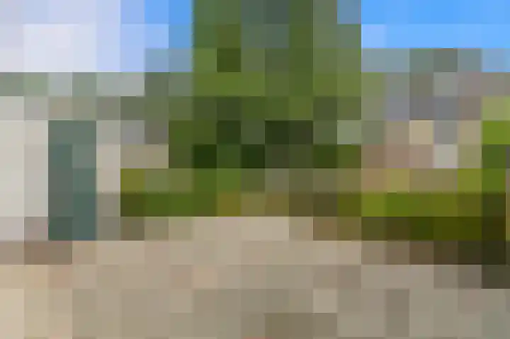 Rooseveltlaan 56 Delft thumbnail 14