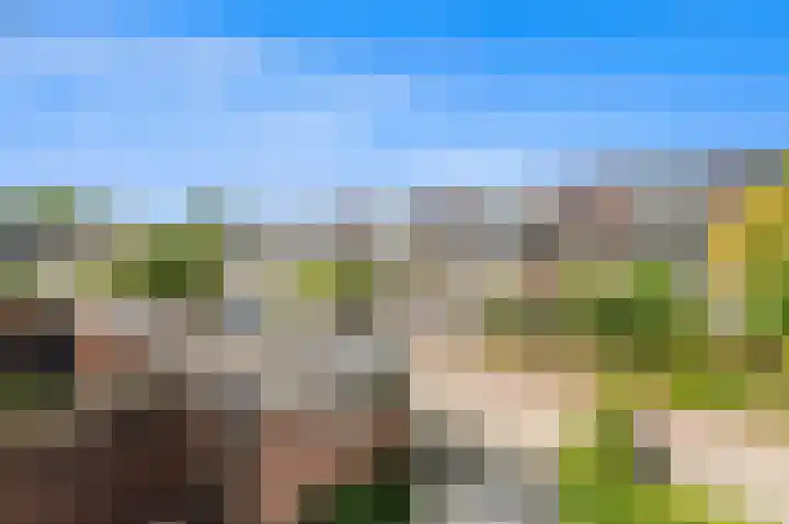 Rooseveltlaan 56 Delft thumbnail 30