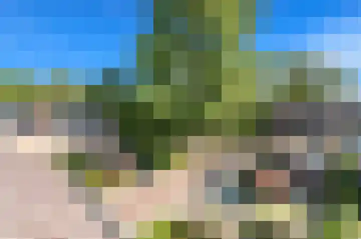 Rooseveltlaan 56 Delft thumbnail 37