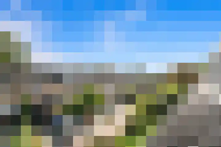 Rooseveltlaan 56 Delft thumbnail 38