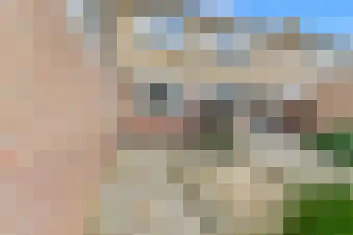 Rooseveltlaan 56 Delft thumbnail 7