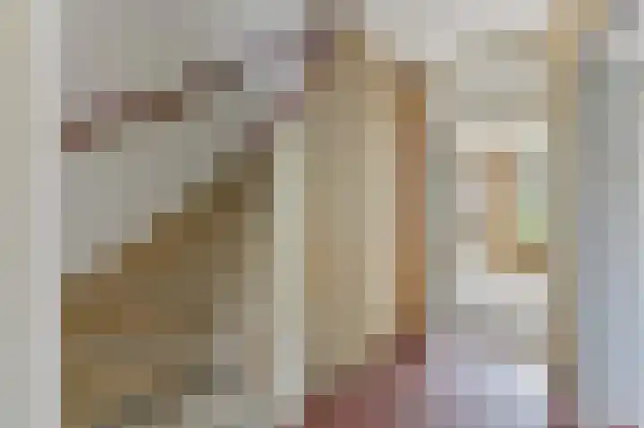 Rooseveltlaan 56 Delft thumbnail 9