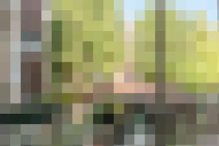 Rooseveltlaan 58 2 Amsterdam thumbnail 25