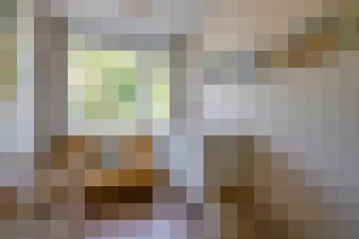 Rooseveltlaan 582 Utrecht thumbnail 30
